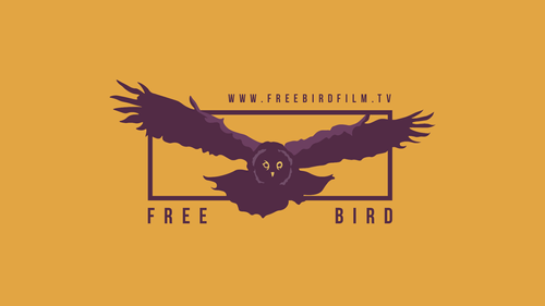 Free Bird Film Showreel